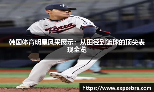 快盈VIII