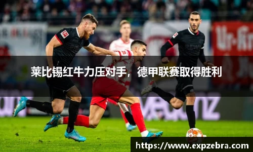 快盈VIII