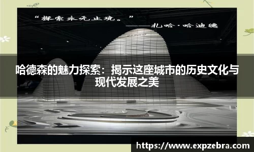 哈德森的魅力探索：揭示这座城市的历史文化与现代发展之美